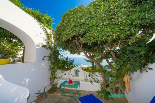 Villa Casa Del Fico Positano Dimora Storica