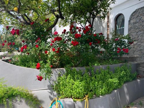 Villa Pina