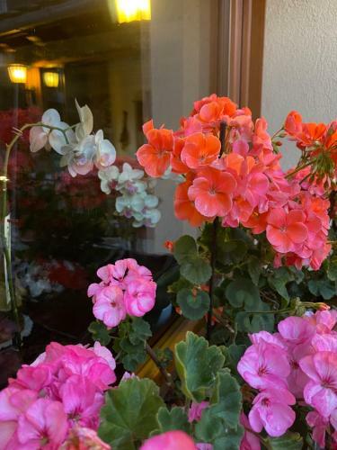 Chambres D'hotes De Montagne Berthod B&B 2