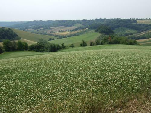 Agroturismo Predio Potantino