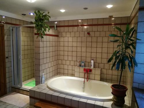 Bed & Breakfast Villa Tacco
