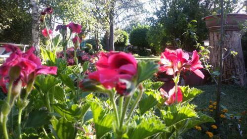 Bed & Breakfast Villa Tacco