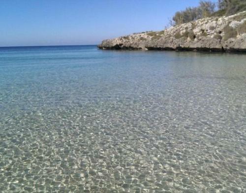Home De Alessia
