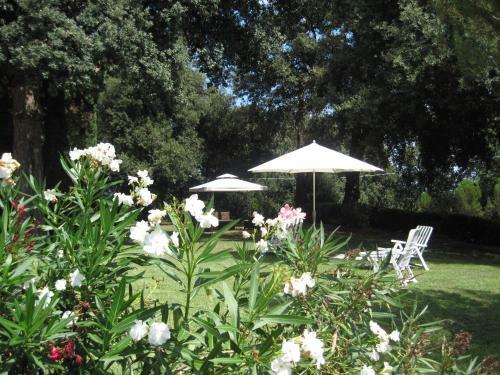 Apartamento Tenuta Olmatello