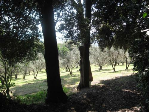Apartamento Tenuta Olmatello
