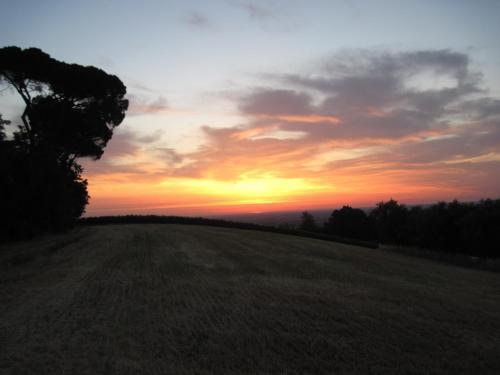 Apartamento Tenuta Olmatello