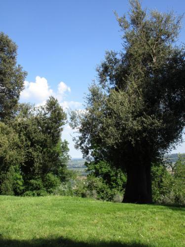 Apartamento Tenuta Olmatello
