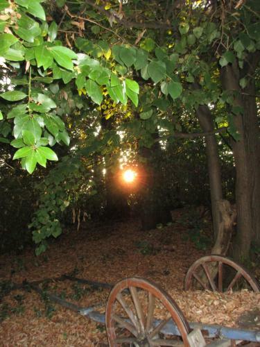 Apartamento Tenuta Olmatello
