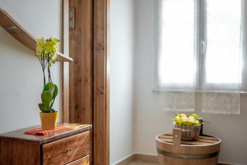Bed & Breakfast La Cantina Dello Sgatto
