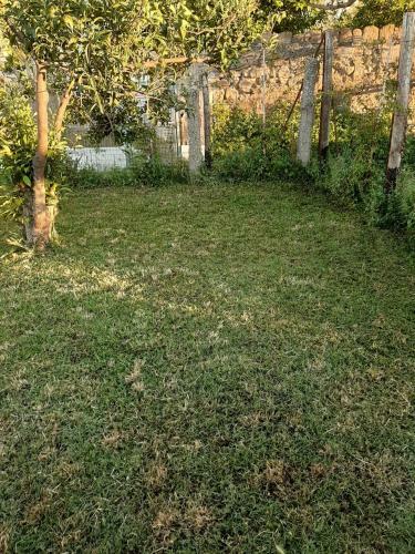 Apartamento Il Glicine