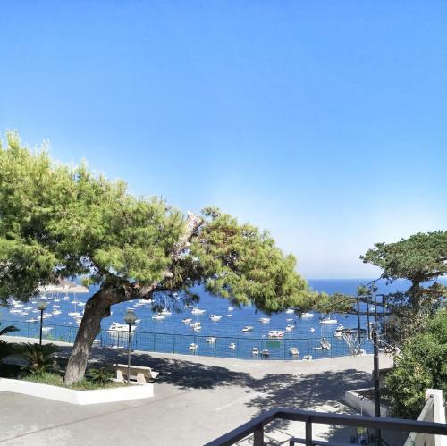 Apartamento Calise Guest House