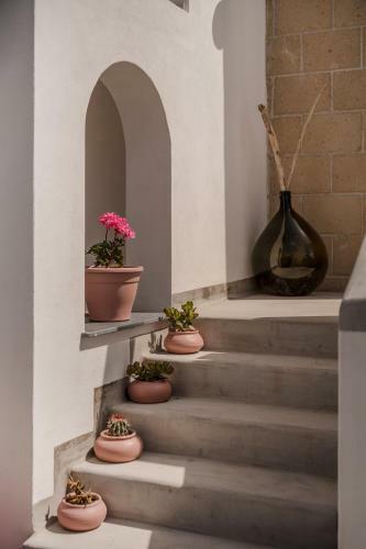 Hostal Calacala Rooms & Farm Experience