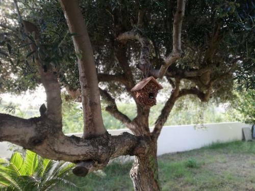 Apartamento Residenza Marcella