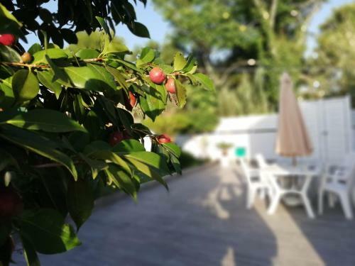 Apartamento Residenza Marcella