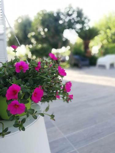Apartamento Residenza Marcella
