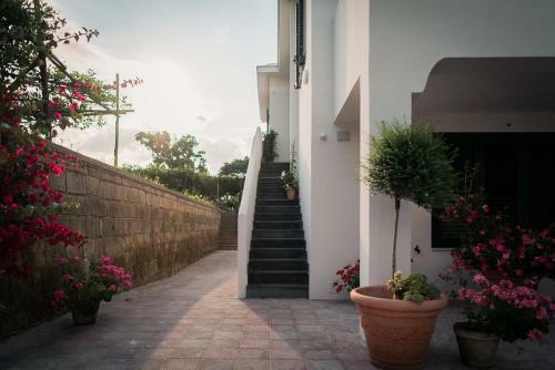 Bed & Breakfast L'agrumeto