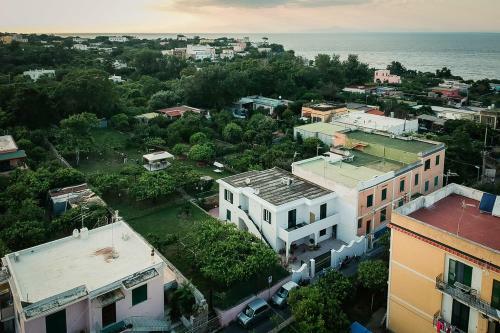 Bed & Breakfast L'agrumeto