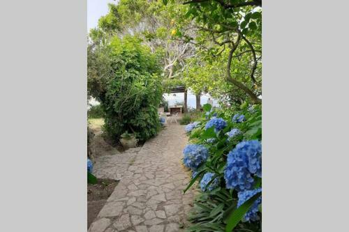 Villa Il Giardino Blu Oltremare - Exlusive Terrace