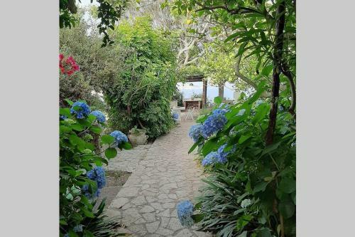 Villa Il Giardino Blu Oltremare - Exlusive Terrace