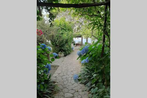 Villa Il Giardino Blu Oltremare - Exlusive Terrace