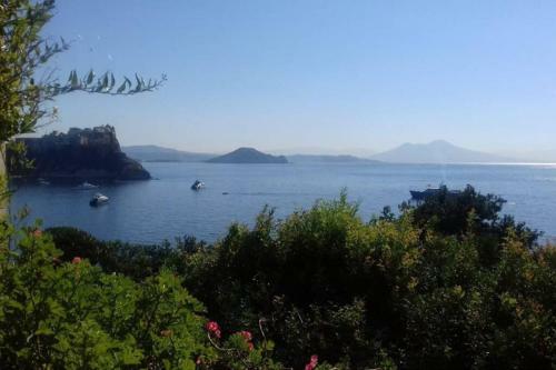 Villa Il Giardino Blu Oltremare - Exlusive Terrace