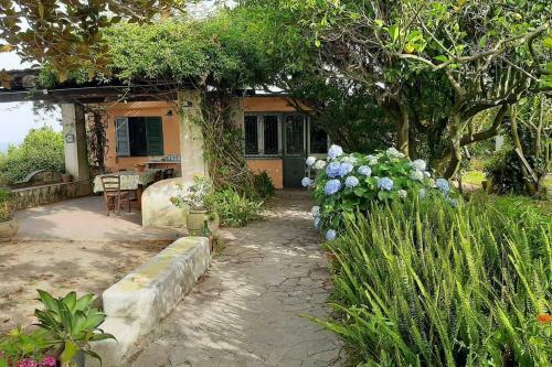 Villa Il Giardino Blu Oltremare - Exlusive Terrace