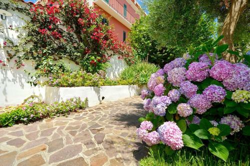 Apartamento Aranceto 17 - #2- Comfort & Relax