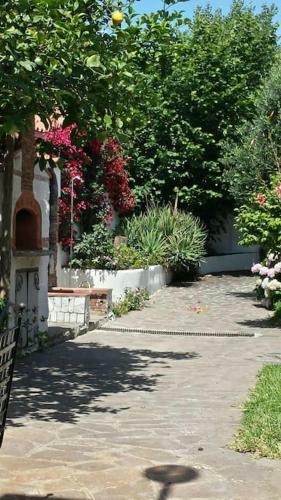 Apartamento Aranceto 17 - #2- Comfort & Relax
