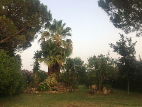 Hostal Villa Sa Perdera