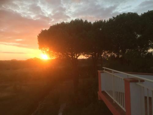 Hostal Villa Sa Perdera