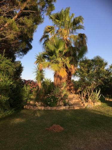 Hostal Villa Sa Perdera