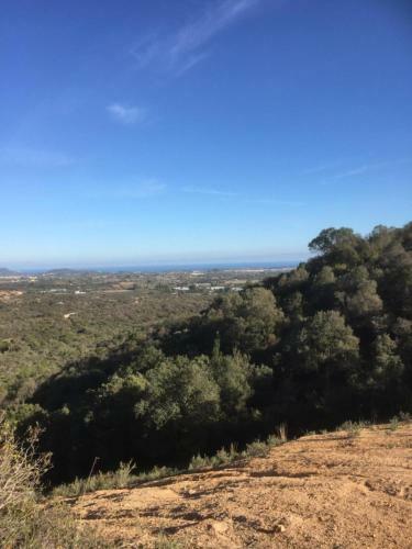 Hostal Villa Sa Perdera