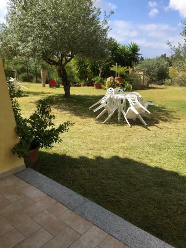 Apartamento Bilocale Con Ampio Giardino