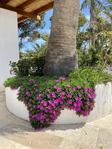 Sant Efis Hotel