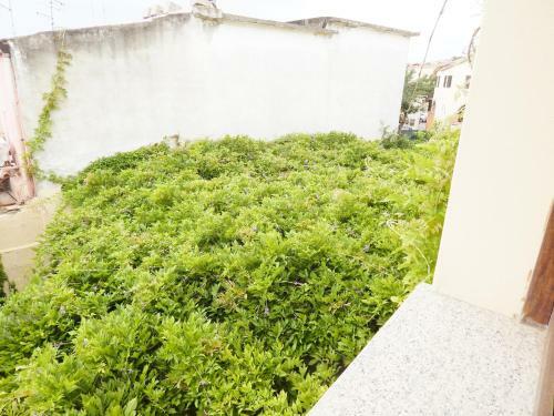 Apartamento Lovely Studio In Pula