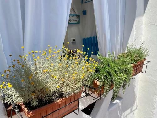 Apartamento La Casetta Turchese