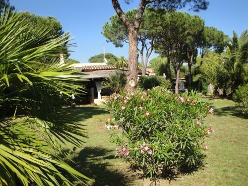 Villa Stella