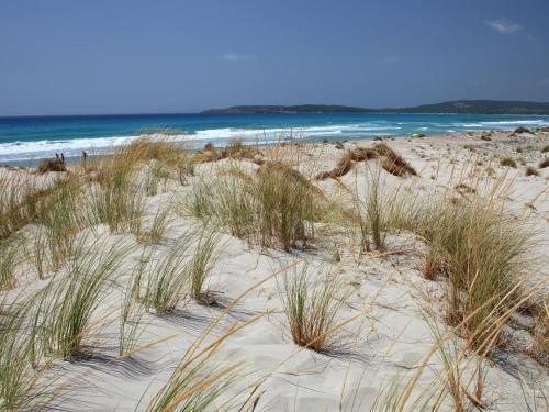 Nice Apartment In Sardegna With Swimming Pool