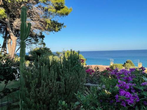 Apartamento Casa Pinus