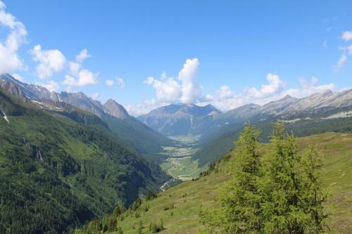 Almchalet Sagstallhof