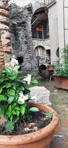 B&B L' Antica Macina