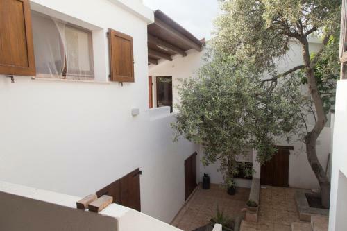 Apartamento Ulivo