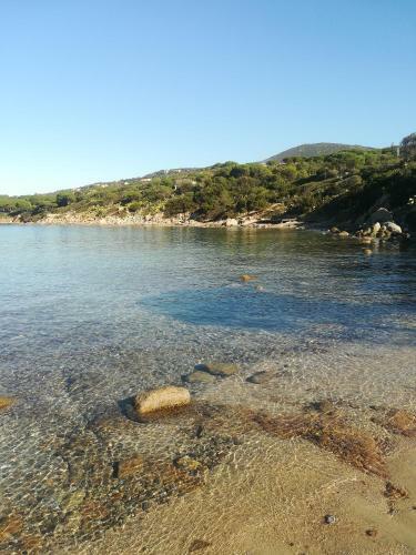 Apartamento Ulivo