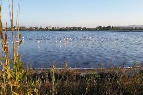 Apartamento Flamingo View