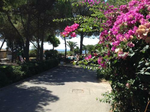 Deliziosa Villa 150 Metri Dal Mare