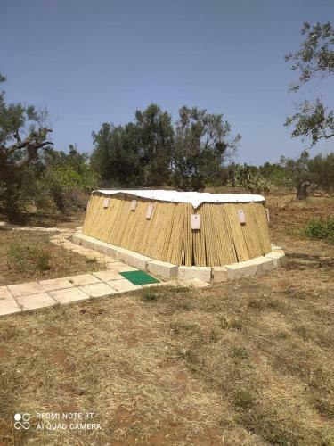 Apartamento Trullo Contrada Specchi