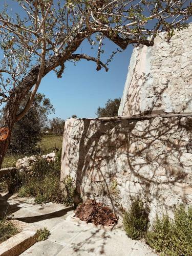 Apartamento Trullo Contrada Specchi