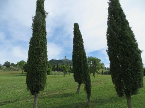 Apartamento Appartamento Melograno In Casale Con Piscina - Val D'orcia