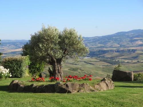 Apartamento Appartamento Melograno In Casale Con Piscina - Val D'orcia