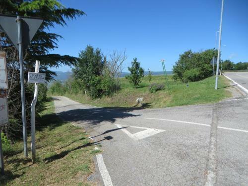 Apartamento Appartamento Melograno In Casale Con Piscina - Val D'orcia